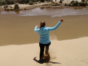Playa de las dunas gigantes. Te Paki